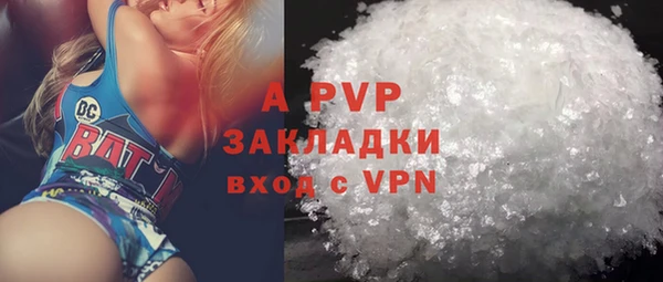 индика Балахна